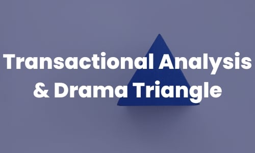 Benchmarking a Team for Success-Apr-04-2024-09-16-06-6579-PM